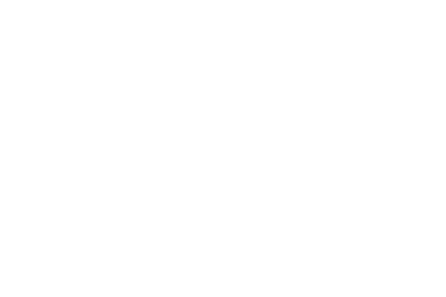 Borrow - Income Financial Services, LLCs